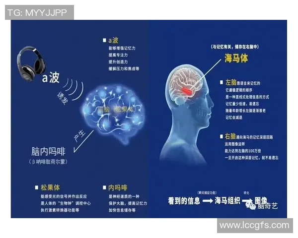 专访杨静:探寻网球领域成功背后的秘密与心得 专访杨静:探寻网球领域成功背后的秘密与心得